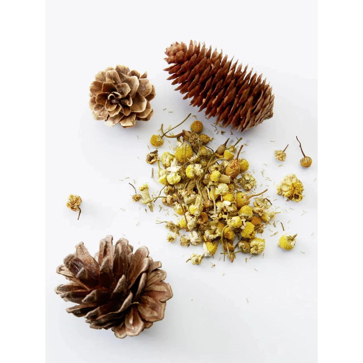 Chamomile + Pine 3-in-1