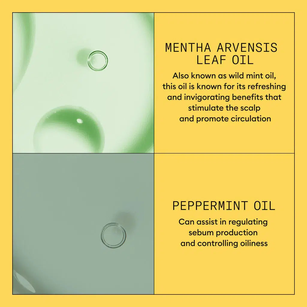 Scalp + Hair Conditioner - System 1