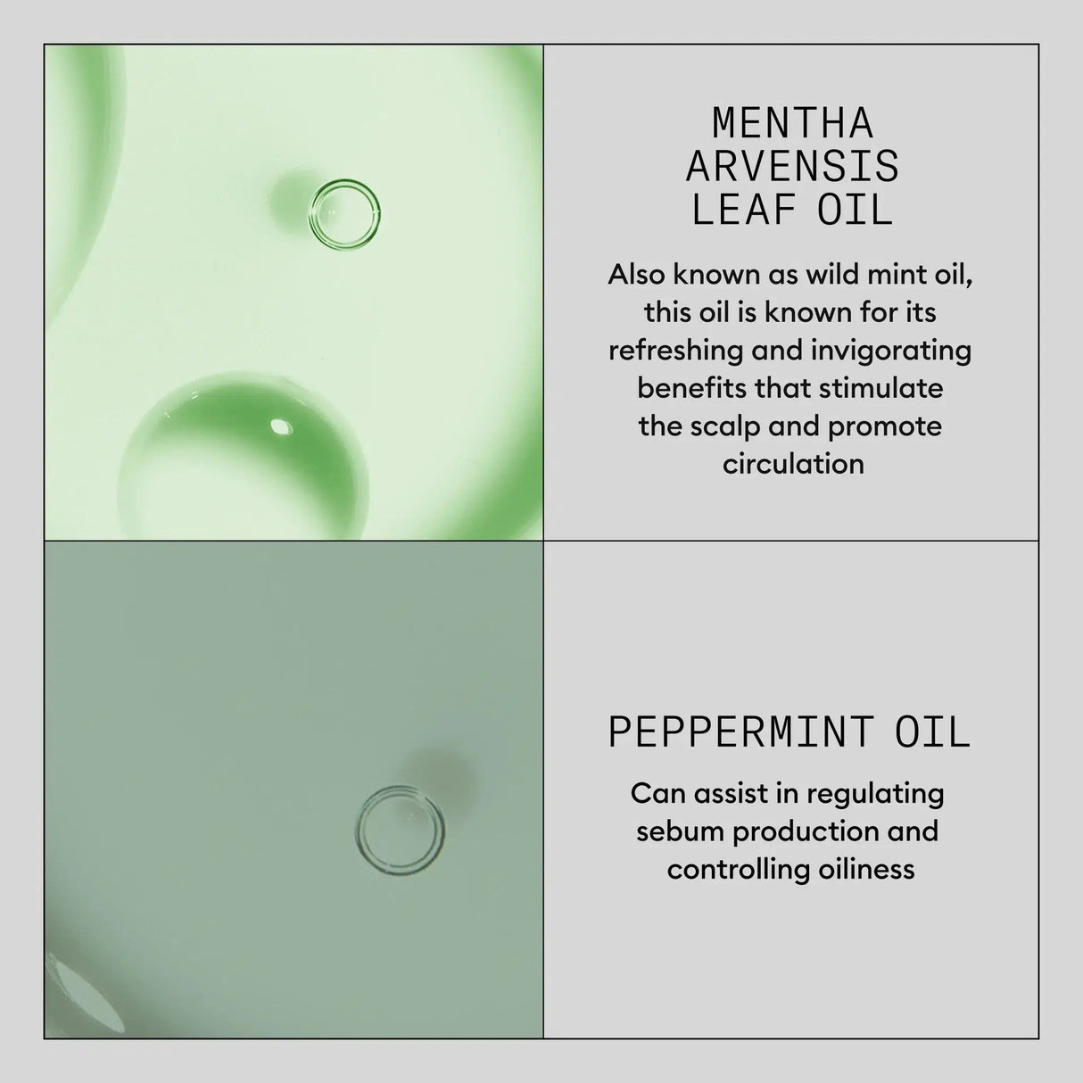 Scalp Renew Dermabrasion Treatment