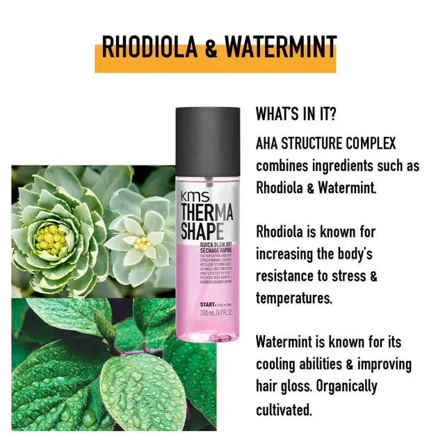 Thermashape Quick Blow Dry 200mL Duo