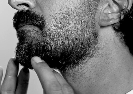 The Science Behind Beard Oils: What Makes Them Work