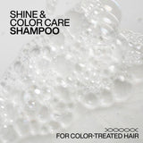 Acidic Color Gloss Shampoo