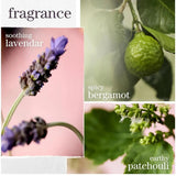 Hydrate Glow Catcher Oil