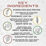 Hydrating Styling Cream