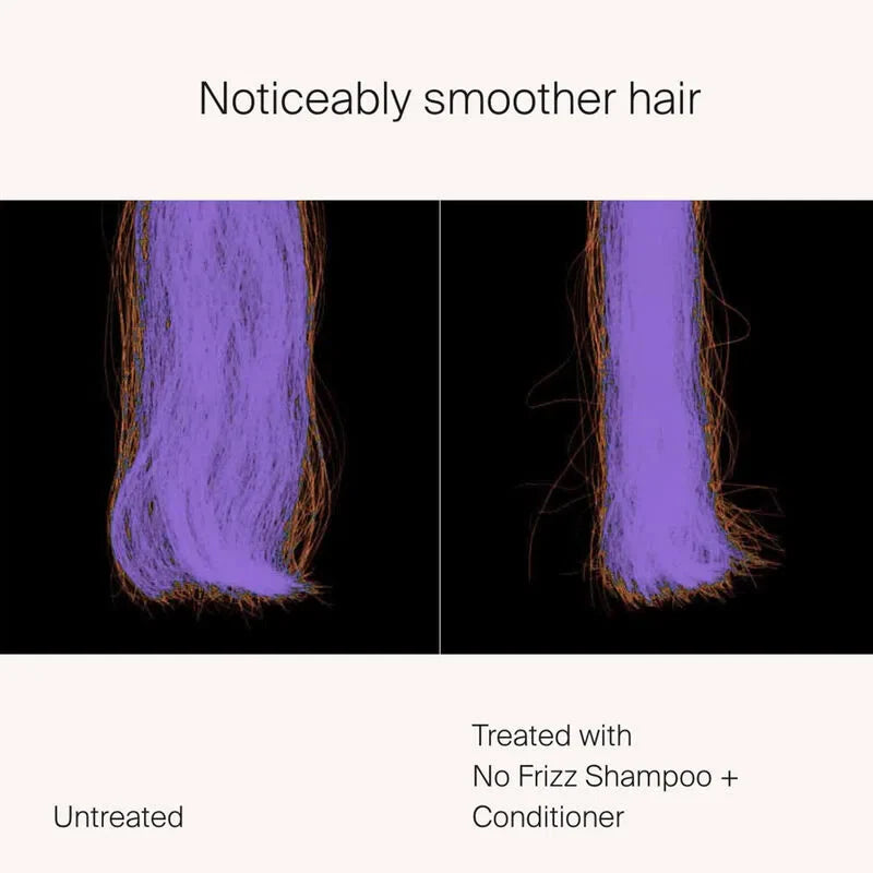 No Frizz Conditioner