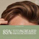 Paul Mitchell Regeniplex Conditioner